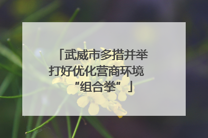 武威市多措并举打好优化营商环境“组合拳”