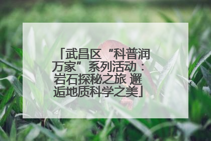 武昌区“科普润万家”系列活动：岩石探秘之旅 邂逅地质科学之美