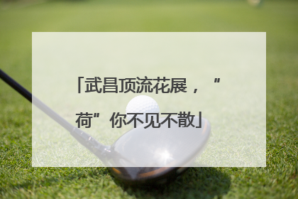 武昌顶流花展，“荷”你不见不散