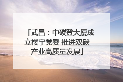武昌：中碳登大厦成立楼宇党委 推进双碳产业高质量发展