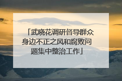 武晓花调研督导群众身边不正之风和腐败问题集中整治工作