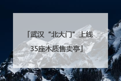 武汉“北大门”上线35座木质售卖亭