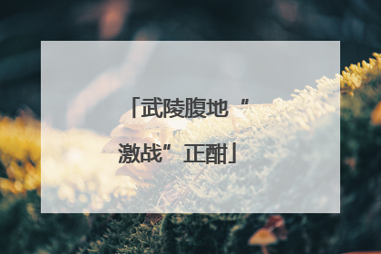 武陵腹地“激战”正酣