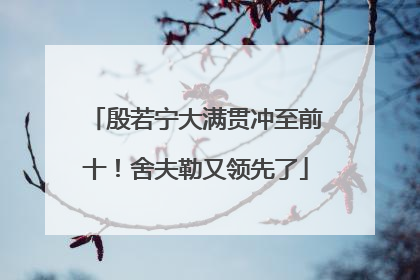 殷若宁大满贯冲至前十！舍夫勒又领先了