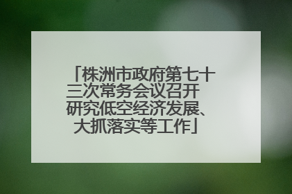 株洲市政府第七十三次常务会议召开 研究低空经济发展、大抓落实等工作