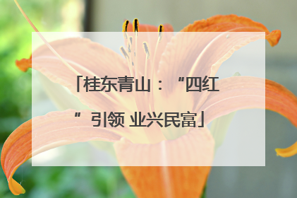 桂东青山：“四红”引领 业兴民富