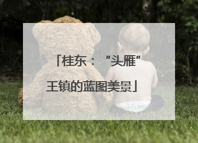 桂东：“头雁”王镇的蓝图美景