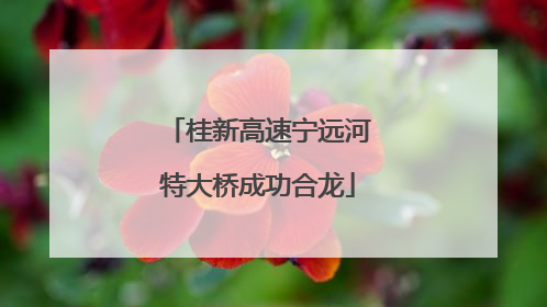 桂新高速宁远河特大桥成功合龙