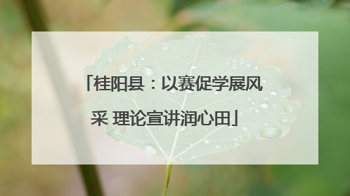 桂阳县：以赛促学展风采 理论宣讲润心田
