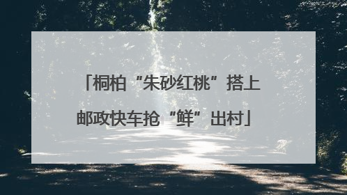 桐柏“朱砂红桃”搭上邮政快车抢“鲜”出村