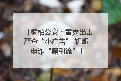 桐柏公安：雷霆出击严查“小广告” 斩断电诈“黑引流”