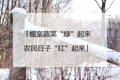 棚室蔬菜“绿”起来 农民日子“红”起来