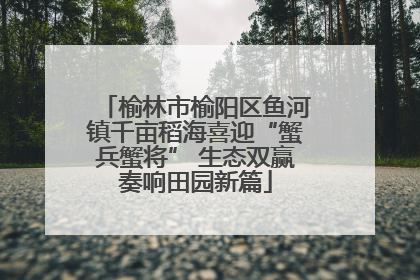 榆林市榆阳区鱼河镇千亩稻海喜迎“蟹兵蟹将” 生态双赢奏响田园新篇