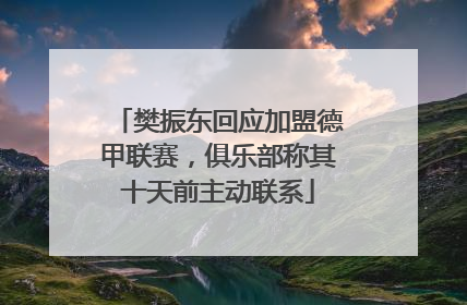 樊振东回应加盟德甲联赛，俱乐部称其十天前主动联系