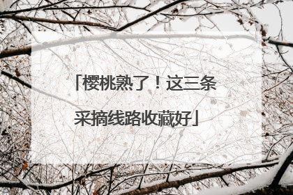 樱桃熟了！这三条采摘线路收藏好