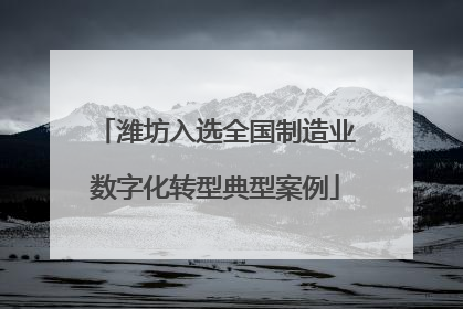 潍坊入选全国制造业数字化转型典型案例