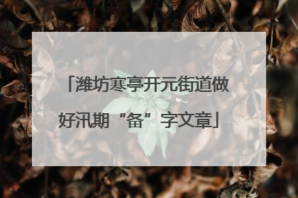 潍坊寒亭开元街道做好汛期“备”字文章