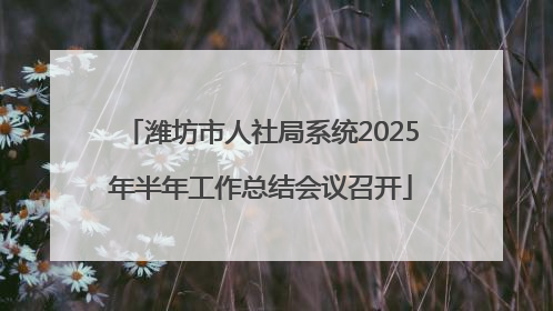 潍坊市人社局系统2025年半年工作总结会议召开