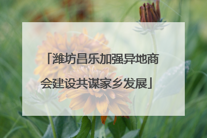 潍坊昌乐加强异地商会建设共谋家乡发展