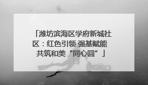 潍坊滨海区学府新城社区：红色引领 强基赋能 共筑和美“同心圆”