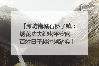 潍坊诸城石桥子镇：绣花功夫织密平安网 百姓日子越过越踏实