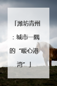潍坊青州：城市一隅的“暖心港湾”