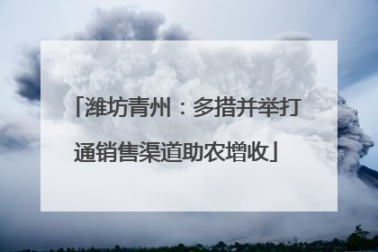 潍坊青州：多措并举打通销售渠道助农增收