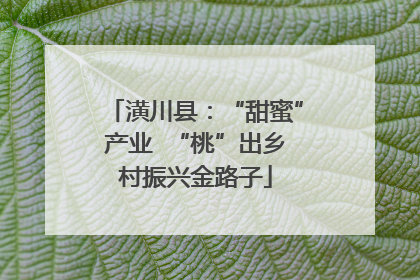 潢川县：“甜蜜”产业  “桃”出乡村振兴金路子