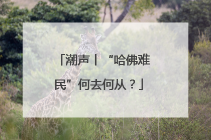 潮声丨“哈佛难民”何去何从？