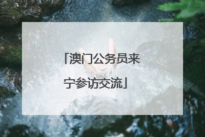 澳门公务员来宁参访交流