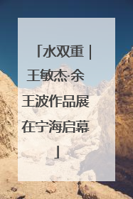 水双重｜王敏杰·余王波作品展在宁海启幕