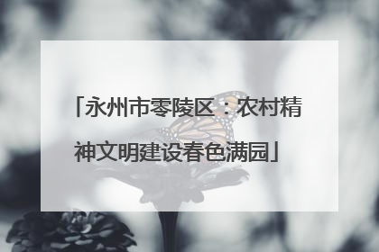 永州市零陵区：农村精神文明建设春色满园