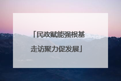 民政赋能强根基 走访聚力促发展