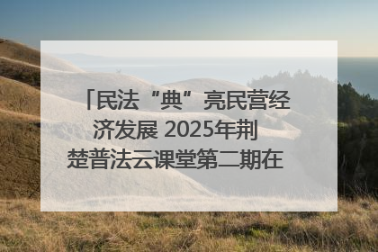 民法“典”亮民营经济发展 2025年荆楚普法云课堂第二期在武汉客厅开讲