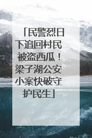 民警烈日下追回村民被盗西瓜！梁子湖公安小案快破守护民生