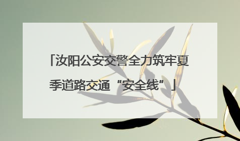 汝阳公安交警全力筑牢夏季道路交通“安全线”