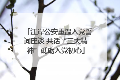 江岸公安重温入党誓词座谈 共话“三大精神”砥砺入党初心