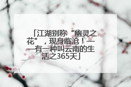 江湖别称“幽灵之花”，现身临沧！——有一种叫云南的生活之365天
