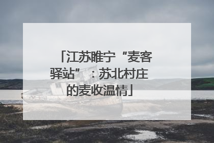 江苏睢宁“麦客驿站”：苏北村庄的麦收温情