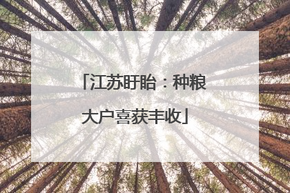 江苏盱眙：种粮大户喜获丰收