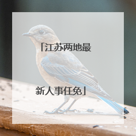 江苏两地最新人事任免