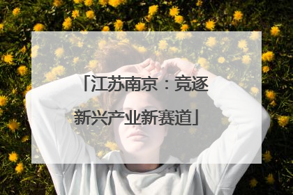 江苏南京：竞逐新兴产业新赛道
