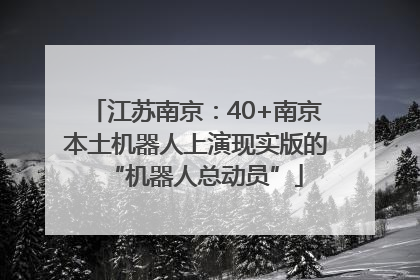 江苏南京：40+南京本土机器人上演现实版的“机器人总动员”