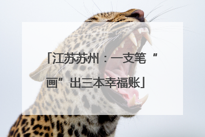 江苏苏州：一支笔“画”出三本幸福账