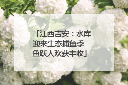 江西吉安：水库迎来生态捕鱼季 鱼跃人欢获丰收