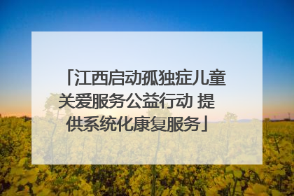 江西启动孤独症儿童关爱服务公益行动 提供系统化康复服务