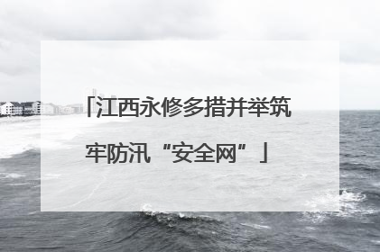 江西永修多措并举筑牢防汛“安全网”