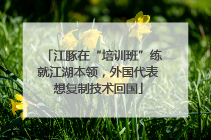 江豚在“培训班”练就江湖本领，外国代表想复制技术回国