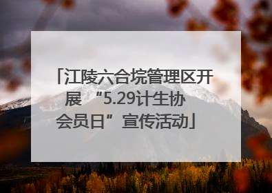 江陵六合垸管理区开展 “5.29计生协会员日”宣传活动