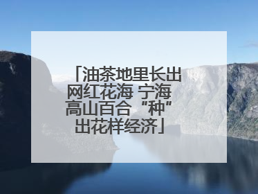 油茶地里长出网红花海 宁海高山百合“种”出花样经济